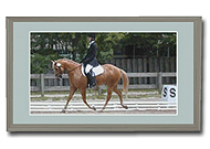 Kirmeo Horse Rider Photo