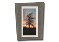 Kirmeo Tall Sunset Photo